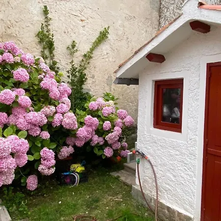 Casa De Playa Elisa Con Jardin 14a07 Appartamento