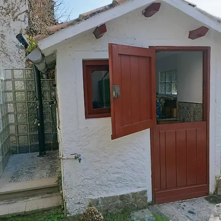 Casa De Playa Elisa Con Jardin 14a07 Appartamento *